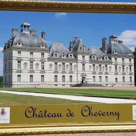 Les Capucines Proche Beauval & Chateaux Saint-Aignan  Exteriér fotografie